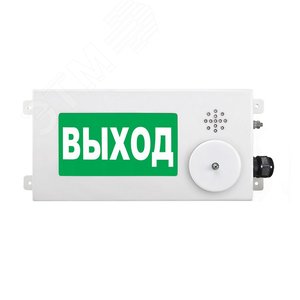 Табло световое взрывозащищенное малогабаритное  ТСВ-Exi-M-Прометей-МИНИ 12-36В ''ПОРОШОК НЕ ВХОДИ''