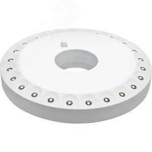 Фонарь светодиодный NPT-CA05-3AA 24LED кемпинговый пластик