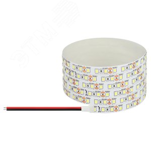 Лента светодиодная 9,6Вт/м 12В 6500К IP20 120LED/м LS2835-120LED-IP20-W-eco-5m