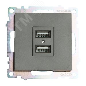 Розетка двухместная USB (механизм) 250В 2,1А серия Катрин графит STEKKER