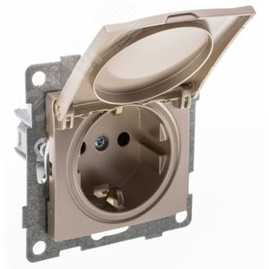 Розетка однопостовая Bravo с/з с з/ш и крышкой, в комплекте с кожухом IP44 К502, механизм, 16А, 250В, шампань
