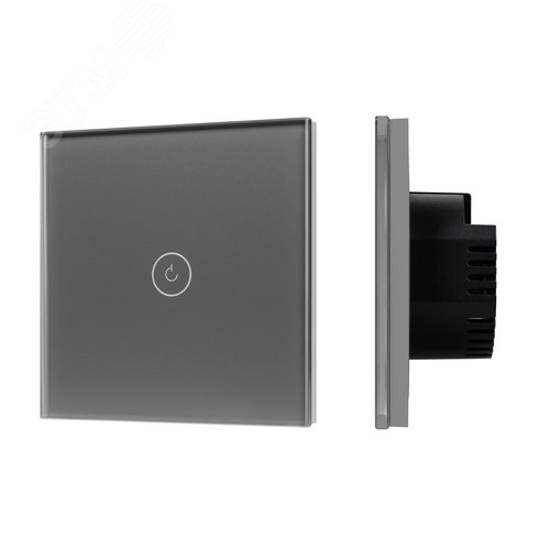 Выключатель сенсорный SWT-OMALI-S01-ZB-GR 250V, 10A, Zigbee Стекло