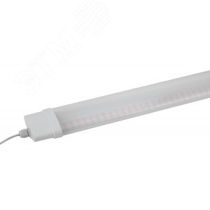Линейный светильник красно-синего спектра FITO-36W-RB-N (10/240)