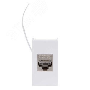 VIVA Розетка компьютерная RJ45 категория 6A 1     модуль белая