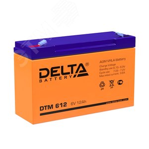 Аккумулятор DTM 6В 12Ач