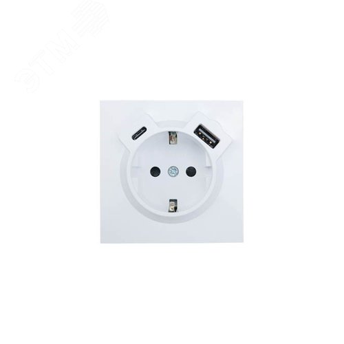 ZIMA Розетка с заземлением (16 А) + TC + USB ,механизм, белая Lezard 704-0288-181TC