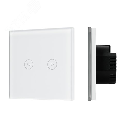 Выключатель сенсорный SWT-OMALI-S02-ZB-WH 250V, 10A, Zigbee Стекло