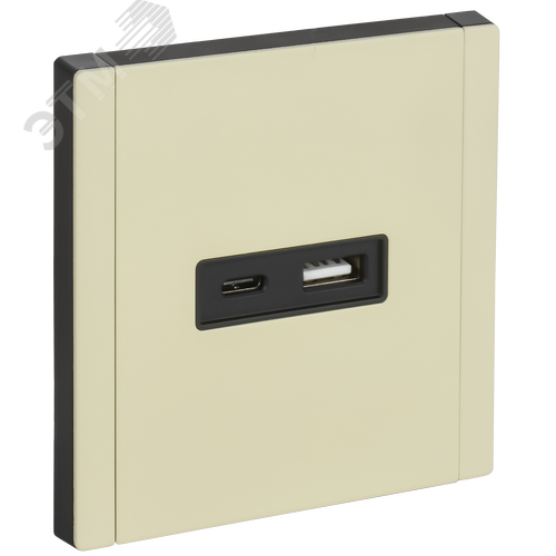 FORTE&PIANO Розетка USB A+C 3,1А FP850M металл слоновая кость IEK