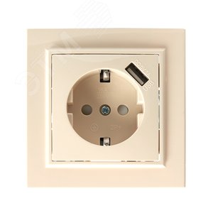 Розетка одноместная с/з с защитной шторкой и с USB, серия Эрна, слоновая кость, Stekker