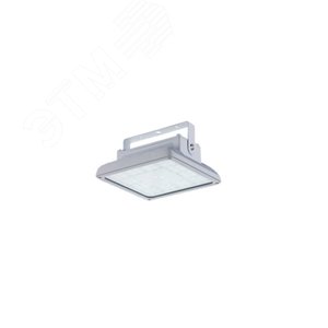 Светильник светодиодный INSEL LB/S LED 70 D120 Ex 5000K GI