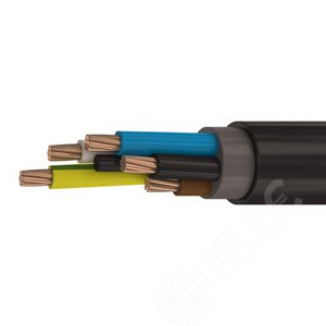 Кабель силовой ВВГнг(A)-LS 5х25мк(N.PE)-1 ТРТС