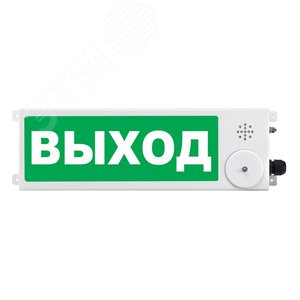 Оповещатель взрывозащищенный световое табло       ТСВ-Exm-M-Прометей, ''Выход'', З/Б, 12-36В