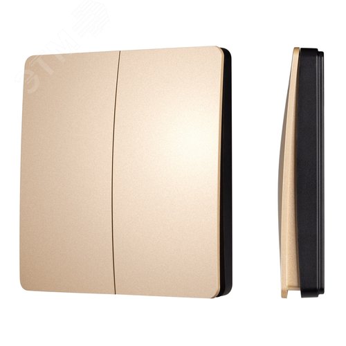 Панель управления кнопочная INTELLIGENT ARLIGHT KINETIC-801-22-2G-WP-SUF Gold (No battery, IP67, 433Mhz) (IARL, IP67 пластик, 3 года)