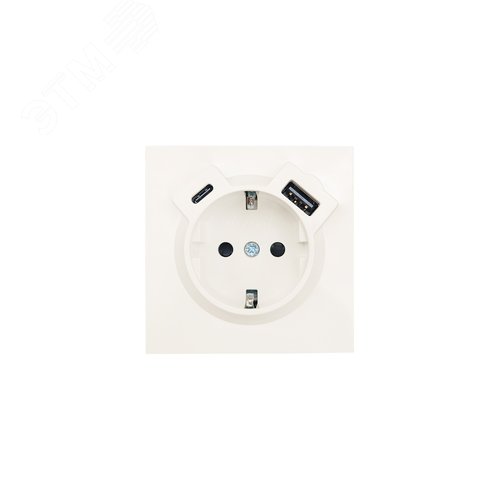 ZIMA Розетка с заземлением (16 А) + TC + USB ,механизм, слоновая кость Lezard 704-9088-181TC