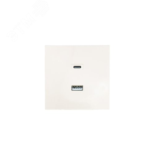 ZIMA Розетка TC+ USB, механизм, слоновая кость Lezard 704-9088-192TC