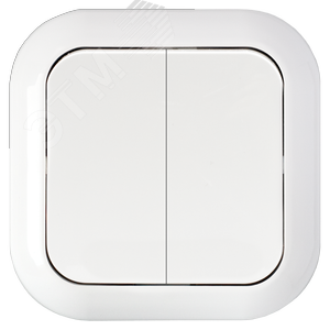 Беларусь Выключатель двухклавишный IP44 С510-819