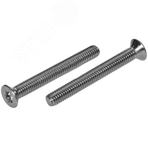 Винт с потайной головкой, шлиц TORX ИСО 14581 [ДИН 965] А2 M 4X12 TX20