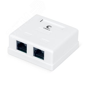 Розетка компьютерная RJ-45(8P8C), категория 6, двойная, внешняя, Dual IDC