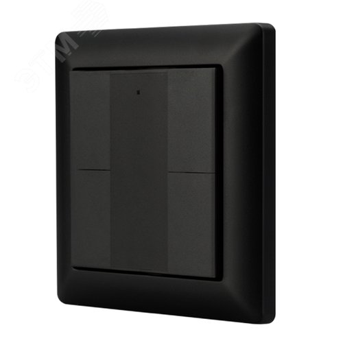 Панель DALI-223-4K-D2-IN-BLACK (BUS, Free purpose) (IARL, -)