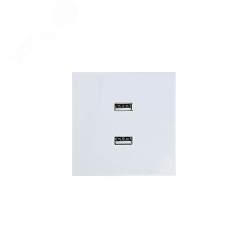ZIMA Розетка 2-ая USB, механизм, белая Lezard 704-0288-192
