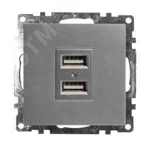 Розетка 2-местная USB (механизм), 250В, 2,4А, серия Катрин, серебро