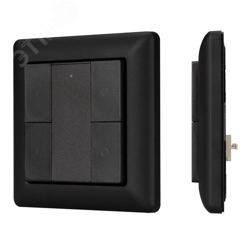 Панель DALI-223-2G-DIM-IN-BLACK BUS IARL