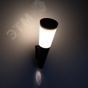 Светильник уличный  ERAFS012-09 на солнечной батарее настенный Факел RGB 1 LED