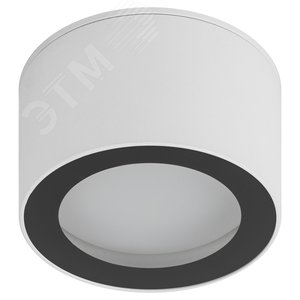 Светильник настенно-потолочный спот OL28 WH/BK GX53, черно-белый, IP44