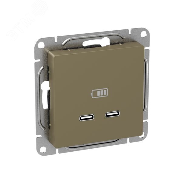 Механизм розетки USB-C - 2шт  шампань Эпика EKF