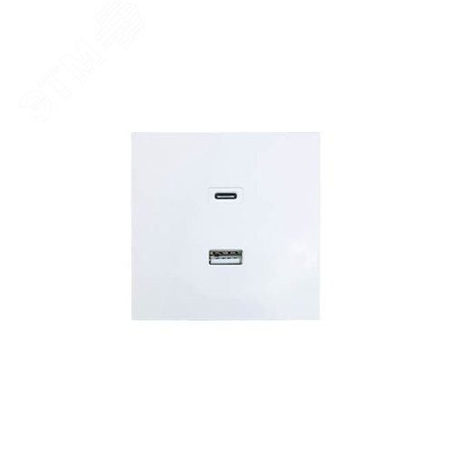 ZIMA Розетка TC+ USB, механизм, белая Lezard 704-0288-192TC