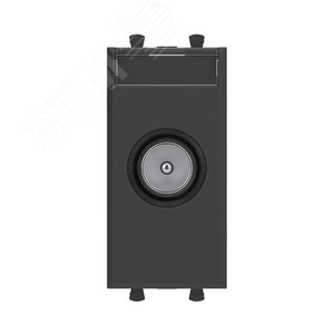 Avanti Розетка TV оконечная модульная,  Черный матовый, 1 модуль