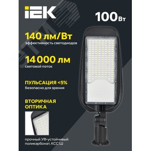 Светильник LED PRO консольный уличный ДКУ 1014-100Ш 5000К IP65