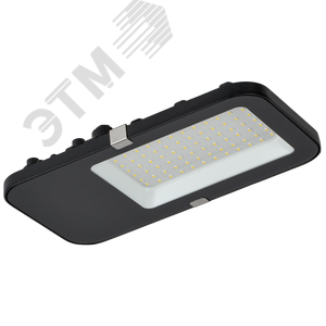 Светильник LED консольный уличный ДКУ 4002 60Д 5000К IP65 GENERICA