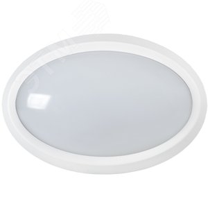 Светильник светодиодный ДПО 5020 8Вт 4000K IP65 овал белый IEK