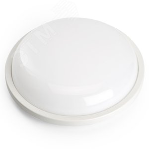 Светильник светодиодный ДБП-18w 4000К IP65 белый матовый TR Круг