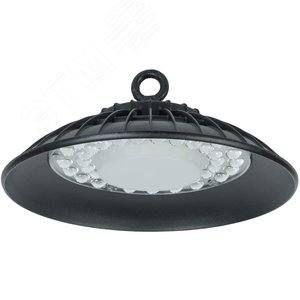 Светильник ДСП 3004 PRO 100Вт 60гр 6500К IP65 алюминий IEK