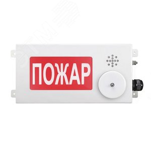 Оповещатель взрывозащищенный свето-звуковое табло малогабаритное ТСЗВ-Exi-М-Прометей-МИНИ, ''Газ!   Невходи!'', 12-36В