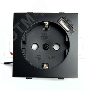Розетка одноместная с/з и с USB (механизм) серия Эрна черный STEKKER
