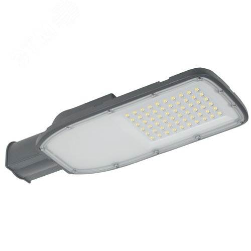 Светильник LED консольный уличный ДКУ 1004-100Ш 3000К IP65 серый