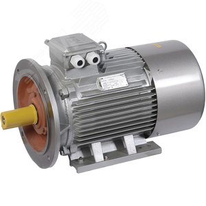 Электродвигатель трехфазный АИР 180S4 660В 22кВт 1500 об/мин 2081 DRIVE