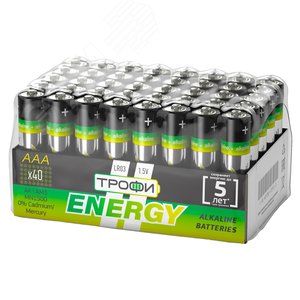 Батарейка Трофи LR03-40 bulk ENERGY Alkaline (40/960/38400)