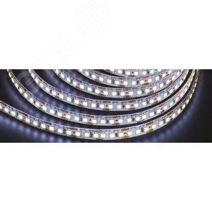 Лента светодиодная 9.6Вт/м 24В 6000К IP65 120LED/м ИСЛ-2835-CRI80 5м