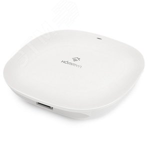 Блок управления (шлюз) HOMMYN Hub HH-01