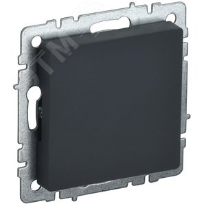 BRITE Заглушка с суппортом МЗ10-БрГ графит