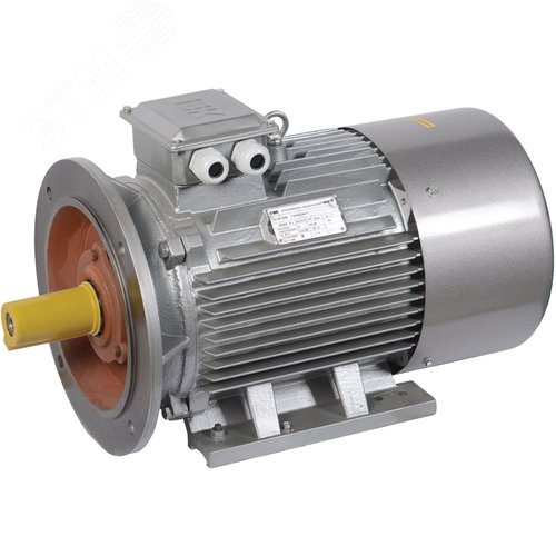 Электродвигатель трехфазный АИР DRIVE 315MA8 660-110-750 2081 PTC Pt1000