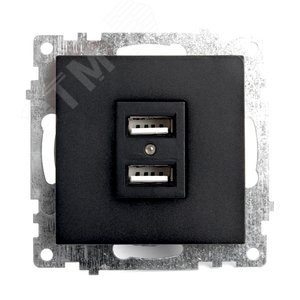 Розетка 2-местная б/з и с USB, Катрин, черный