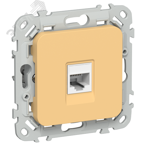 FLITE Розетка компьютерная RJ45 категория 6 UTP РК6-1-0-ФлЗ золотарник IEK