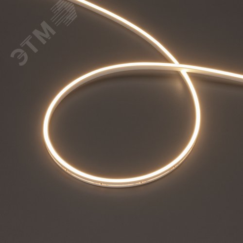 Лента герметичная MOONLIGHT-SIDE-T-M196-03x06mm 24V Warm3000 7.2 W/m, IP54, 2216, 5m, wire x2 вывод кабеля прямой