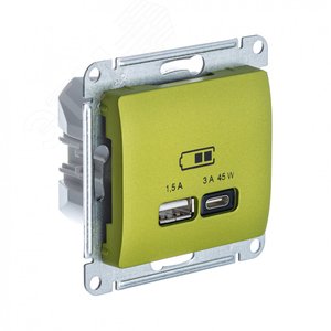 GLOSSA USB РОЗЕТКА A + тип-C 45W высокоскор.заряд. QC, PD, механизм, ФИСТАШКОВЫЙ