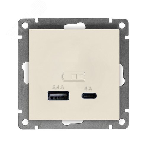 Розетка USB Афина A+С 2.4/4А, механизм  с/у, слоновая кость (ivory) (еврослот)